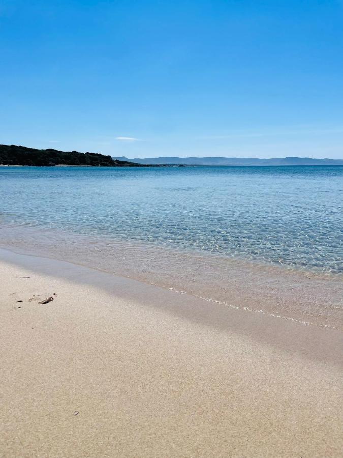 Zaffiro Casa Vacanze Al Mare วัลเลดอเรีย ภายนอก รูปภาพ